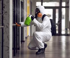 Trusted New Rochelle, NY Mold Removal Experts